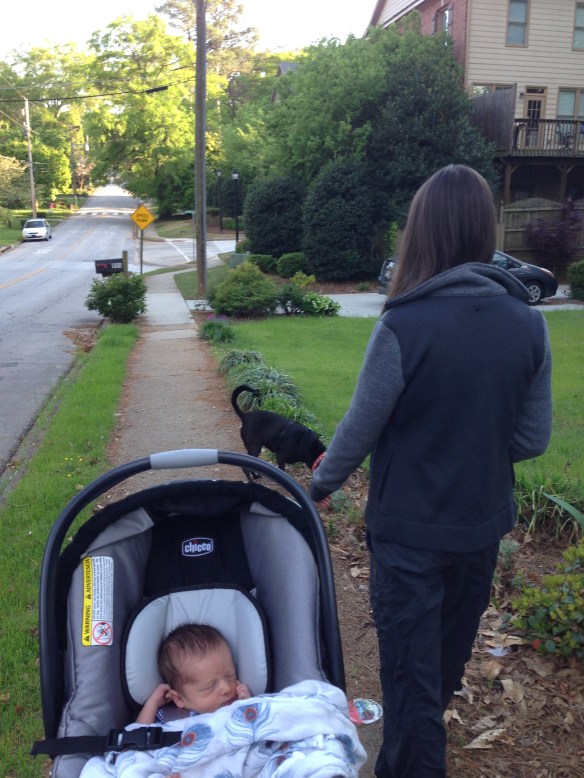 Mr. Baby takes a walk